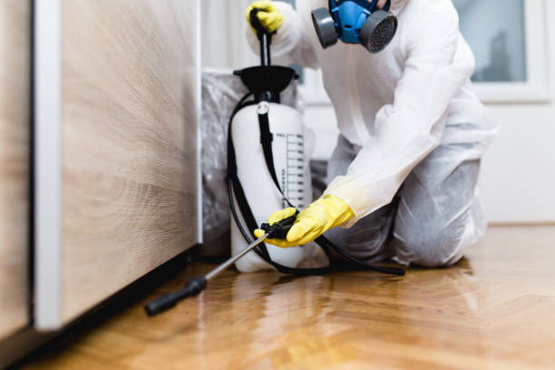 Professional Pest Control in Quitman, TX
