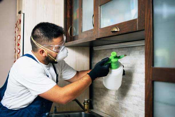 Best Pest Prevention Services  in Quitman, TX