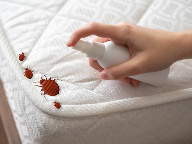 Best Commercial Pest Control Services  in Quitman, TX