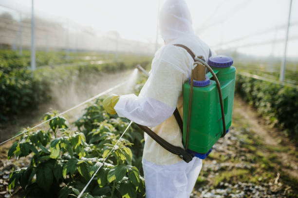 Best Flea Control Services  in Quitman, TX